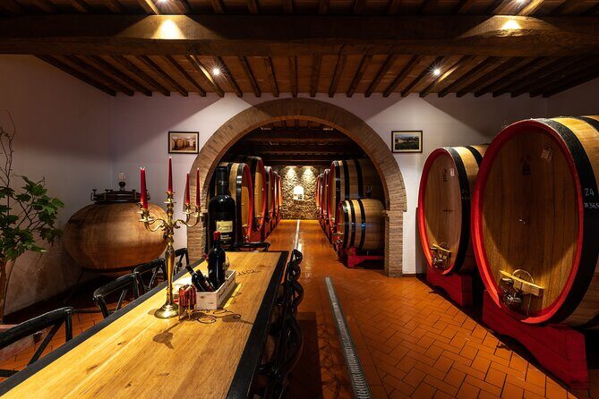 Private Premium Brunello Wine Tasting Tour & Food Pairing - The Benefits of a Private, Guided Tour