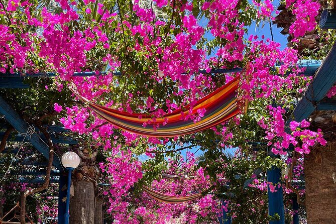 PRIVATE-Preveli Beach-Kourtaliotiko Gorge From Heraklion Region. - Key Points