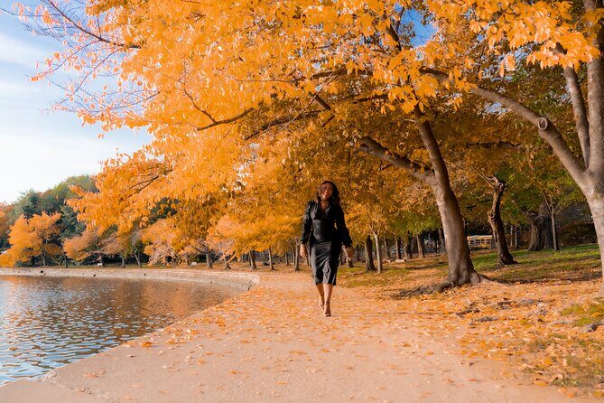 Private Professional Vacation Photoshoot in Petaluma - The Experience’s Strengths