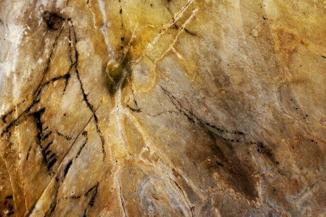 Private Puente Viesgo Caves Full-Day Tour from Santander - The Optional E-Bike Tour