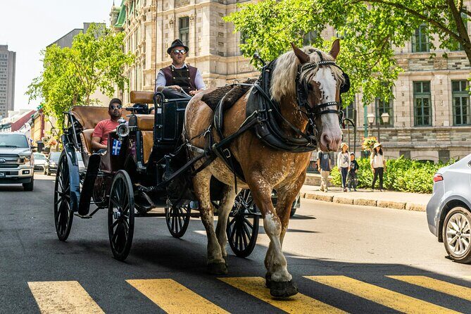 Private Québec City Highlights 3 Hour Walking Tour - FAQs