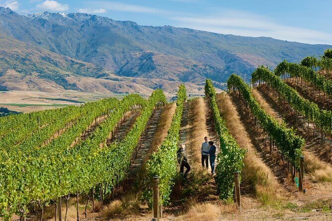 Private Queenstown Wine Tour All-Inclusive Tour - The Heart of the Experience: What’s Included and What to Expect