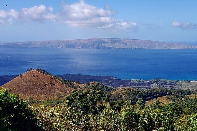 Private Redwood Forest Hiking Tour - What is the Private Redwood Forest Hiking Tour?