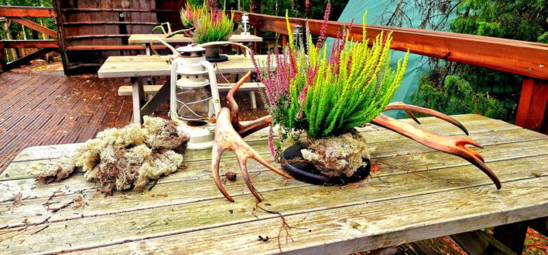 PRIVATE Reindeer Park Adventure by VIP Car - A Deeper Dive into the Reindeer Park Experience