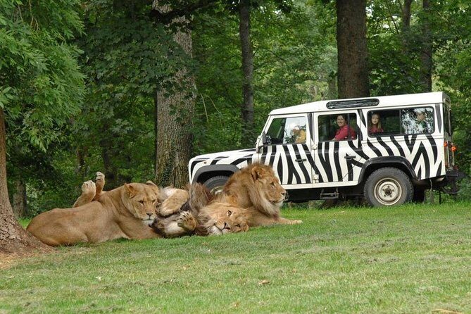 Private Return Transfer Thoiry Zoo Safari from Paris - Who Should Consider This Tour?