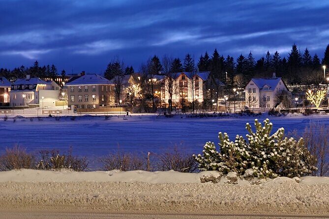 Private Reykjavik City Tour - A Detailed Look at the Reykjavik Private Tour