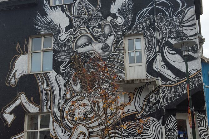 Private Reykjavik Street Art Walking Tour - The Instagram Tour - Who Would Enjoy This Tour?
