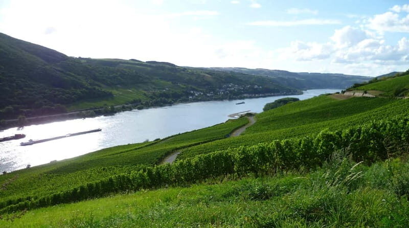 Private Rhine Valley tour with river cruise & wine tasting - Key Points