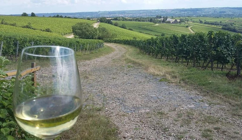 Private Rhine Valley tour with river cruise & wine tasting - Wrapping Up