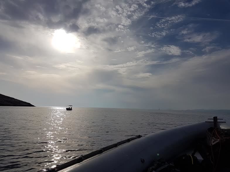 Private Rib Cruise to Poseidon Temple at Sounio Cape - What You Can Expect from the Tour