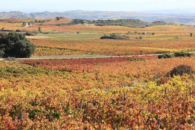 Private Rioja Wine Tasting Tour from San Sebastian - FAQ