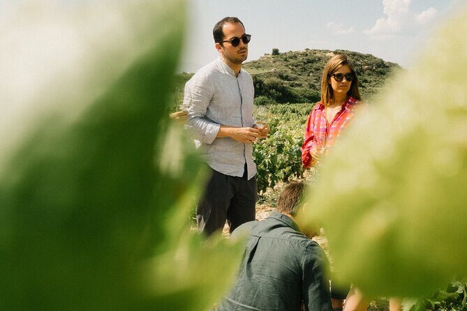 Private Rioja Wine Tour of Vines and Wines in Spain - What to Expect from the Rioja Private Wine Tour