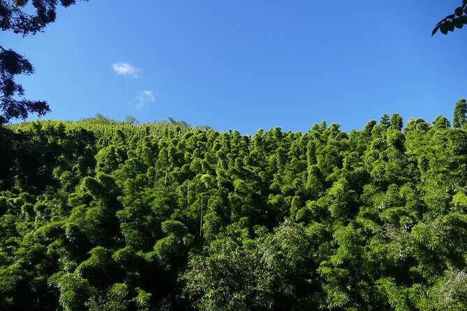 PRIVATE Road to Hana Tour - Practical Considerations