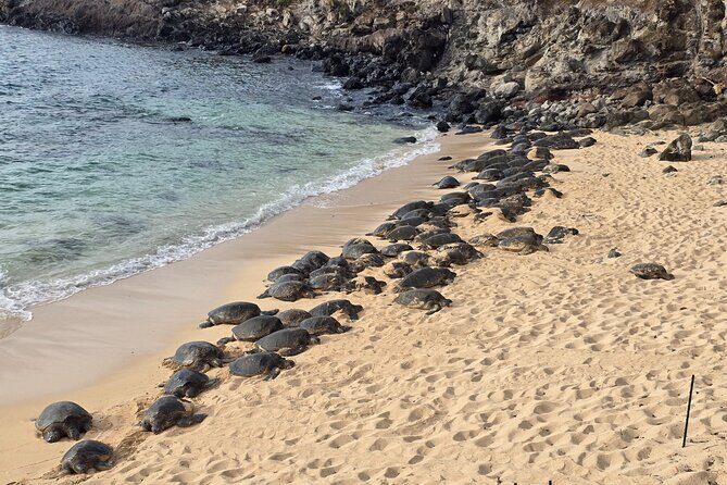 Private Road to Hana Tour with Pickup - Key Points