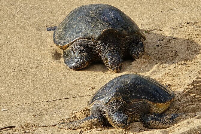 Private Road to Hana Tour with Pickup - Who Is This Tour Best For?