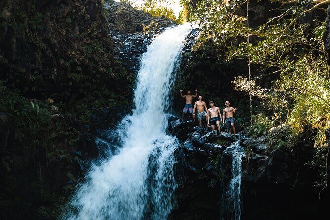 Private Road To Hana Tour with Professional Photographer - What the Reviews Say