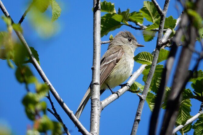 Private Rocky Mountain National Park 4 Hour Tour - Final Thoughts