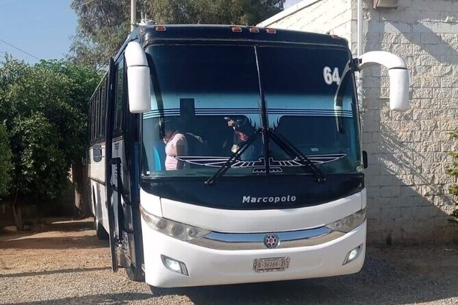 Private Round Transportation from Tijuana to Valle de Guadalupe - Key Points