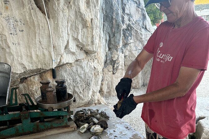 Private Round-Trip Airport Transfer in Dubrovnik - The Sum Up