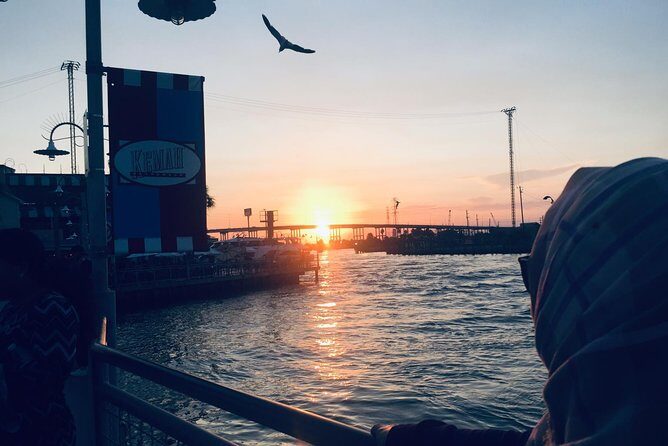 Private Round Trip SUV Transfer Houston - Galveston Cruise Travel - A Close Look at the Experience