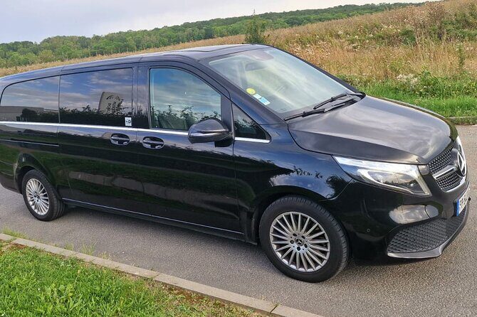 Private round trip transfer from/to PARIS DISNEYLAND - Who Will Benefit Most from This Service?