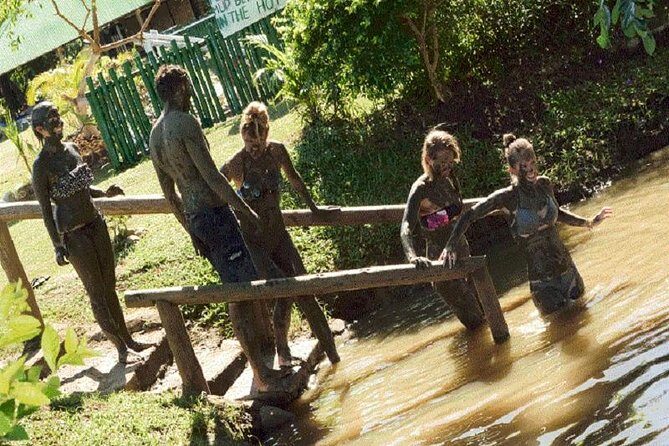 Private Roundtrip Transfer - Nadi Airport to Fiji Marriott Momi Bay - Authentic Passenger Insights