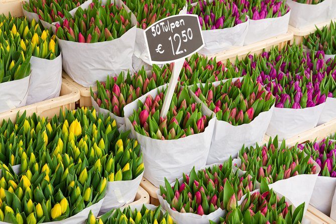 Private Roundtrip Transfer Schiphol Airport to Amsterdam - Who Is This Best For?