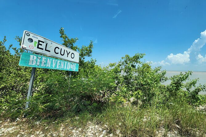 Private Roundtrip Transfer to "El Cuyo Yucatan" - The Details of the Transfer Experience