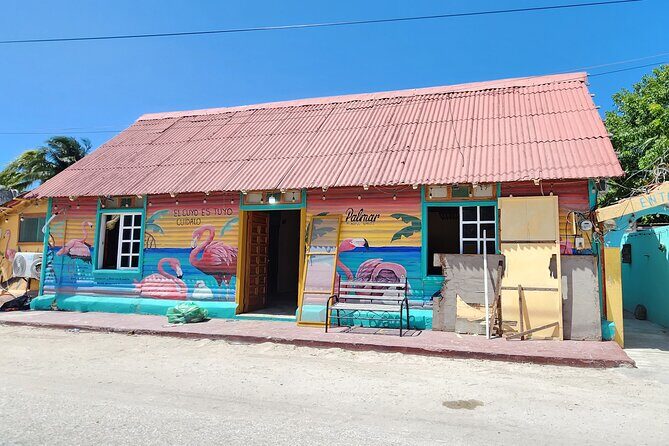 Private Roundtrip Transfer to "El Cuyo Yucatan" - What Travelers Say