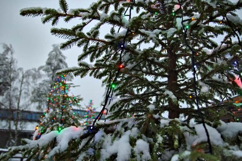 Private Rovaniemi Christmas Tour + Hot Festive Drinks - A Word on the Price and Value