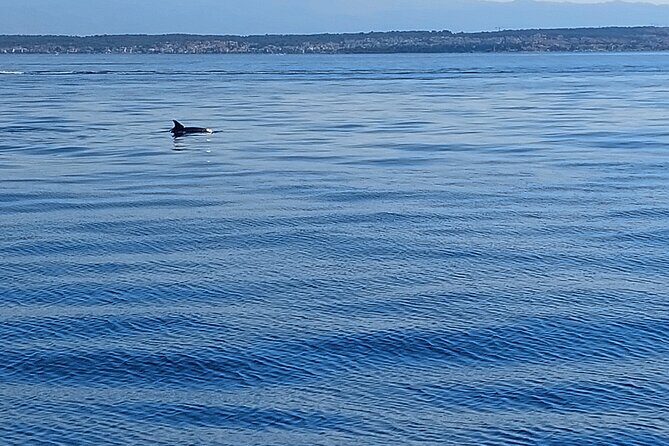 Private Sailing Day Tour - Who Is This Tour Best For?