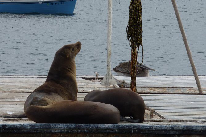 Private Sailing Tour -2 Hour (Up to 12 Passengers) - Key Points