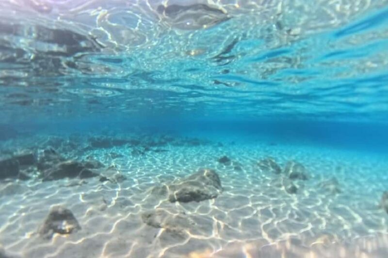 Private Sailing Trip from Heraklion to Dia with meal & SUP - Who Would Love This Tour?