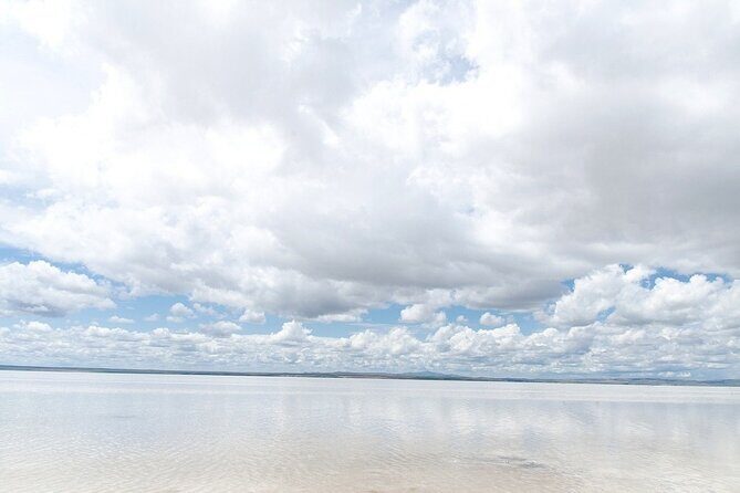 Private Salt Lake Tour - Understanding the Cost and Value