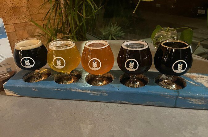 Private San Diego Beer Tasting Tour - Who Would Enjoy This Tour?