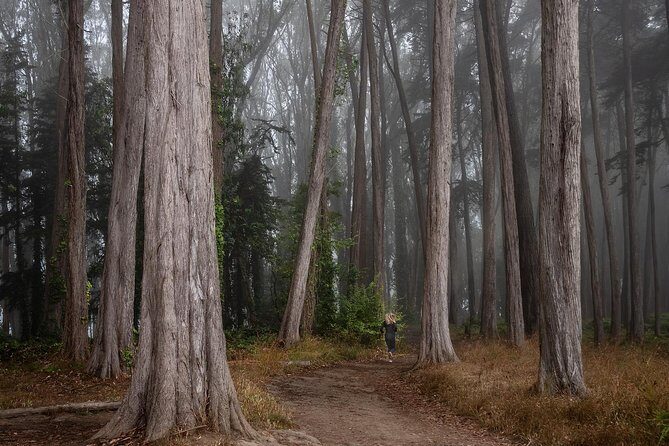 Private San Francisco Sunset Photography Experience - FAQ