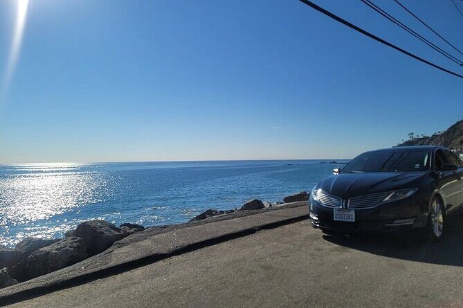 Private San Pedro Cruise Port Transfer To or From LAX Airport - Who Would Love This Service?