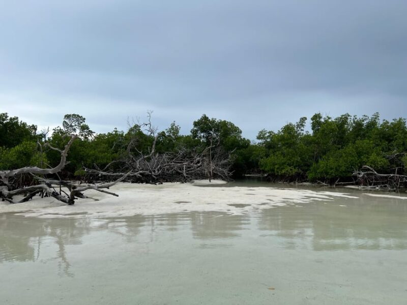 Private Sandbar Adventure in the Key West Backcountry - Final Thoughts