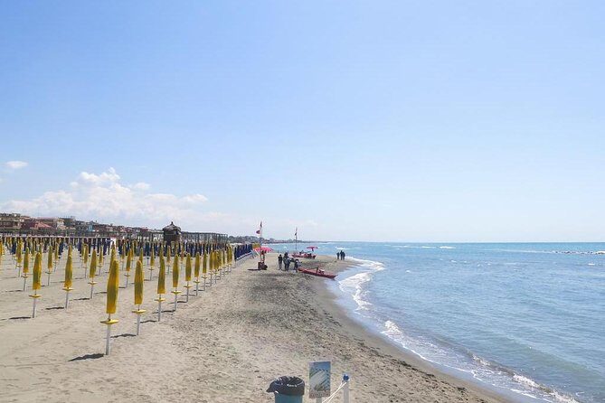 Private Sandy Beach Day Trip From Rome - What You’ll Experience on the Day