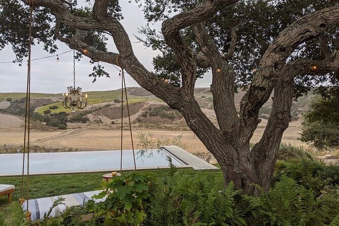 Private Santa Ynez Valley Wine Tasting Tour for up to 4 guests - Key Points