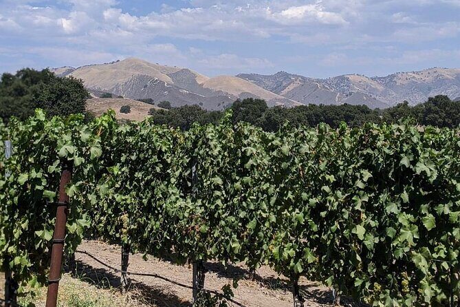 Private Santa Ynez Valley Wine Tasting Tour for up to 4 guests - What to Expect from the Santa Ynez Valley Wine Tasting Tour