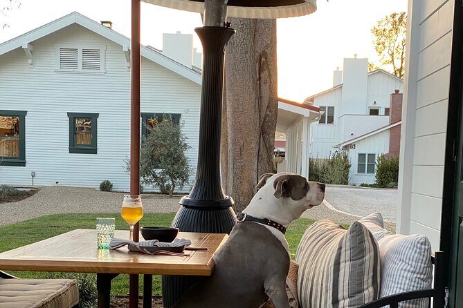 Private Santa Ynez Valley Wine Tasting Tour for up to 4 guests - FAQ