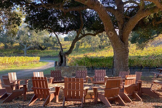 Private Santa Ynez Valley Wine Tasting Tour for up to 4 guests - Wrapping It Up