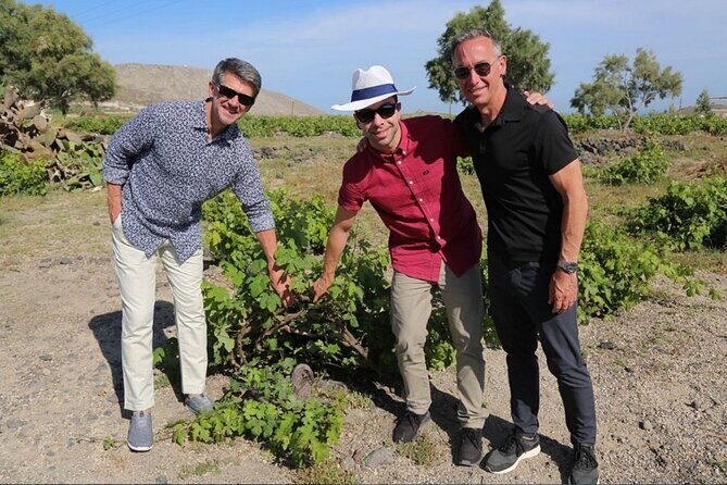 Private Santorini Wine Adventure in 3 Wineries with 12 Tastings - Frequently Asked Questions