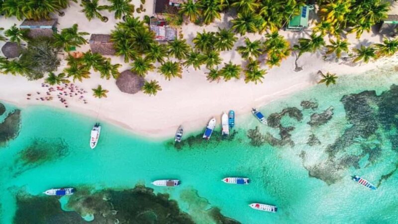 Private: Saona Island Speedboat and Catamaran Tour - Key Points