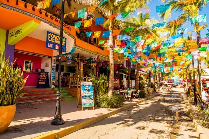 Private Sayulita and San Pancho Beach Towns Tour - What to Expect from the Tour