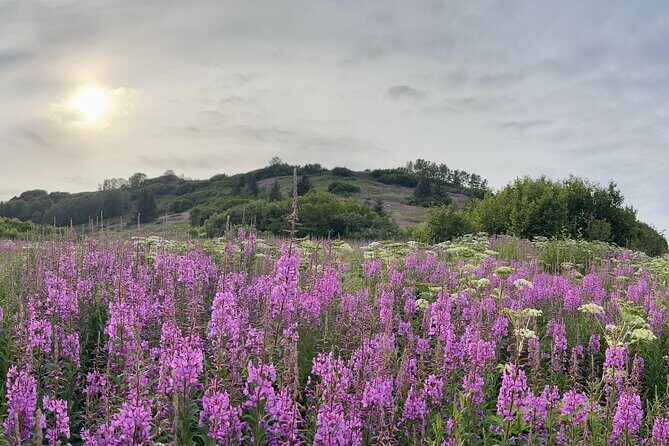 Private Scenic Turnagain Arm Glacier Tour from Anchorage - FAQs