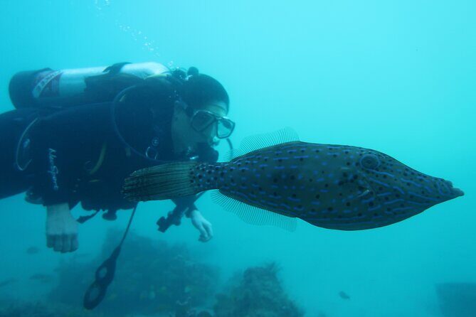 Private Scuba Diving Expert-Led Excursion Training with Tour - Final Thoughts