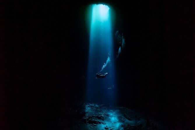Private Scuba Diving in Cenote around Playa del Carmen - What Makes This Tour Stand Out