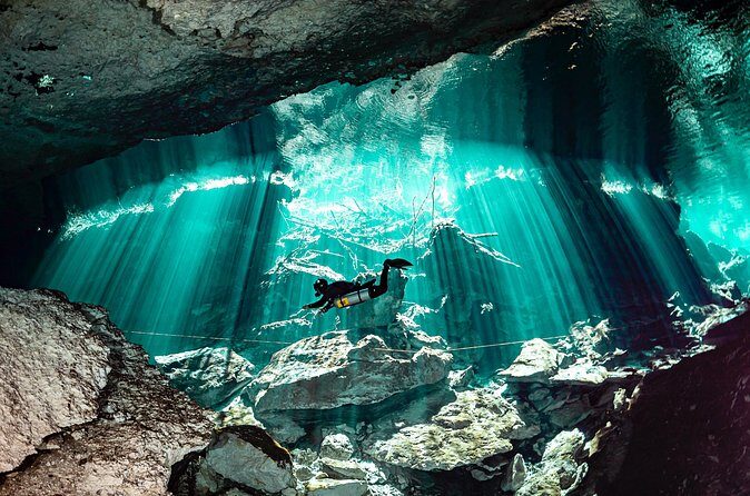 Private Scuba Diving in Cenote around Playa del Carmen - The Value of this Private Cenote Tour